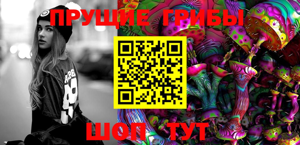 Барнаул  Галлюциногенные грибы прущие грибы  Вход с VPN 
